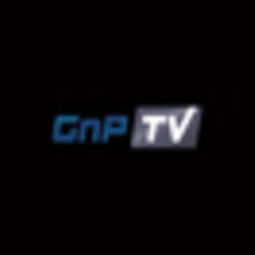 GroundandPoundTV