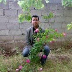 Mustafa Günal