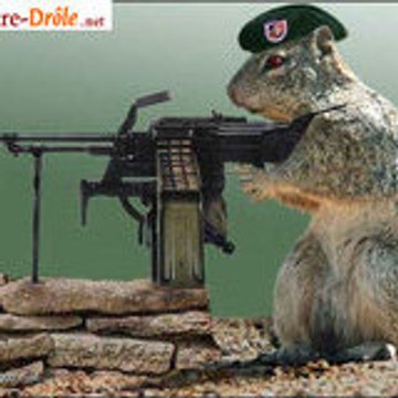 Antoine et Alex Testeurs de jeux