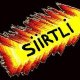 bize_heryer_siirt_mmo