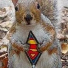 Psychotic Squirrel