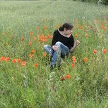 coquelicot-rouge