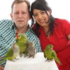 TammeVogels.nl