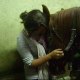 Khalif-Loove