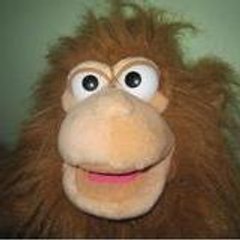 Woho Monkey