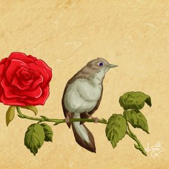 HALİL İBRAHİM VURAL