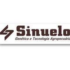 Sinueloagro