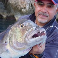 Menderes Yahsi - www.adrasanbalik.com