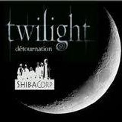 shibacorp détournation