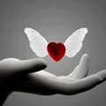 .meisser jocelyne