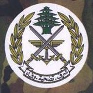 igeecomputer soy distribution