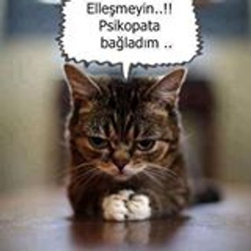 ifyesi