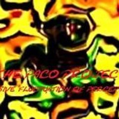 THE PACO PROJECT