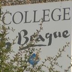 College_Georges_Braque