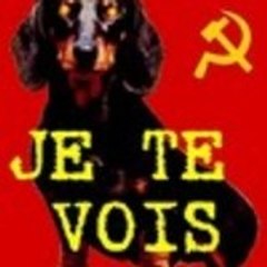 Fifilechien