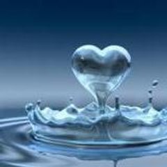 Faisal AL.S