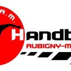 SLAM VENDEE HANDBALL