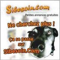 Sibesoincom