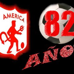 pileo21