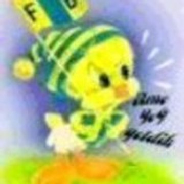 feno cell