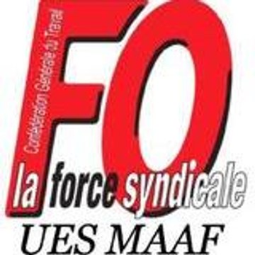 Profil DailyMotion de l&rsquo;utilisateur fomaaf site