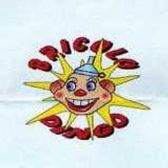 Bricolo_dingo