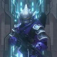 TheNinjaChick