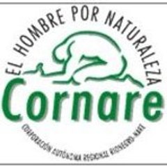 Cornare