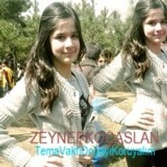 ZeynepCansel