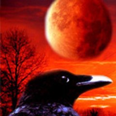 SadRaven