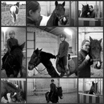 Le-monde-equestre