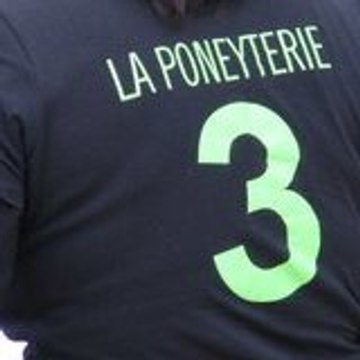 Brigade des stup poneyterie