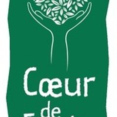 Coeur de Forêt