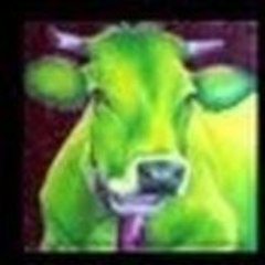 AMIE DES VACHES AMIE DES VACHES 2