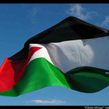PALESTINE PALESTINE