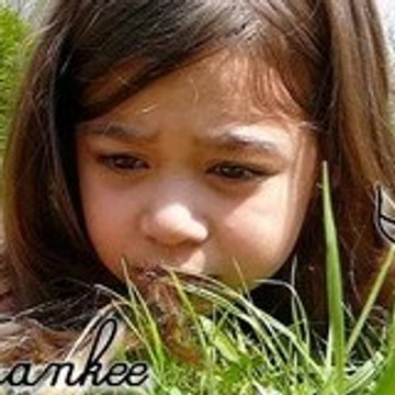 fansfrankee