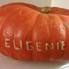 Biquette704