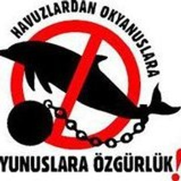 Yunuslara Özgürlük Platformu - Özgür Yunuslar