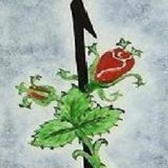 elif_sevdasi