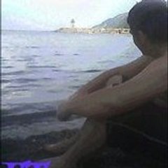 ferdislam