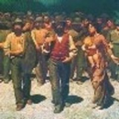 Vida Sindical