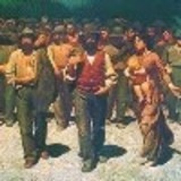 Vida Sindical