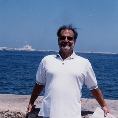 Muhammad Shamsaddin Megalommatis