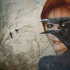 Alice Iocco ( Ioccalice)