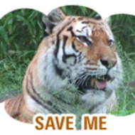 Corbett National Park