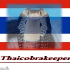 Thaicobrakeeper