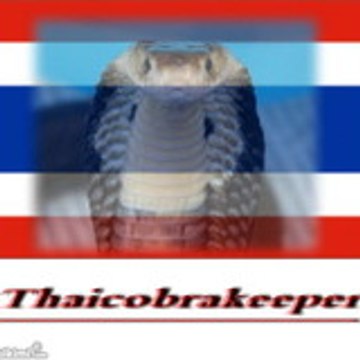 Thaicobrakeeper