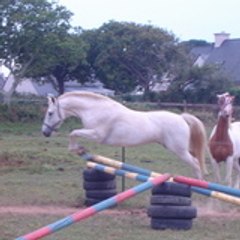Kurun29