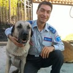 Mehmet Pesen