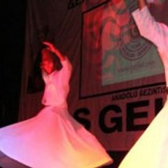 Devran organizasyon